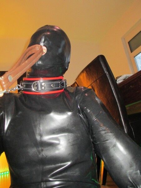 LatexMarkus, o Gimppuppy