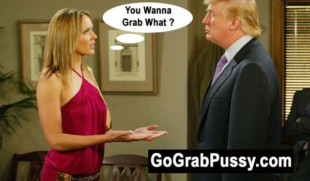 Trump Go Grab Pussy-Parodie