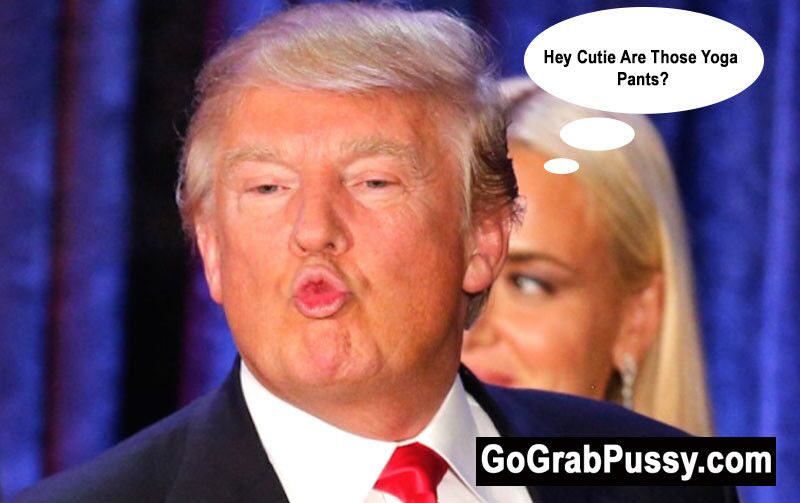 Trump Go Grab Pussy-Parodie