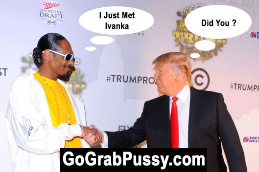 Trump Go Grab Pussy-Parodie