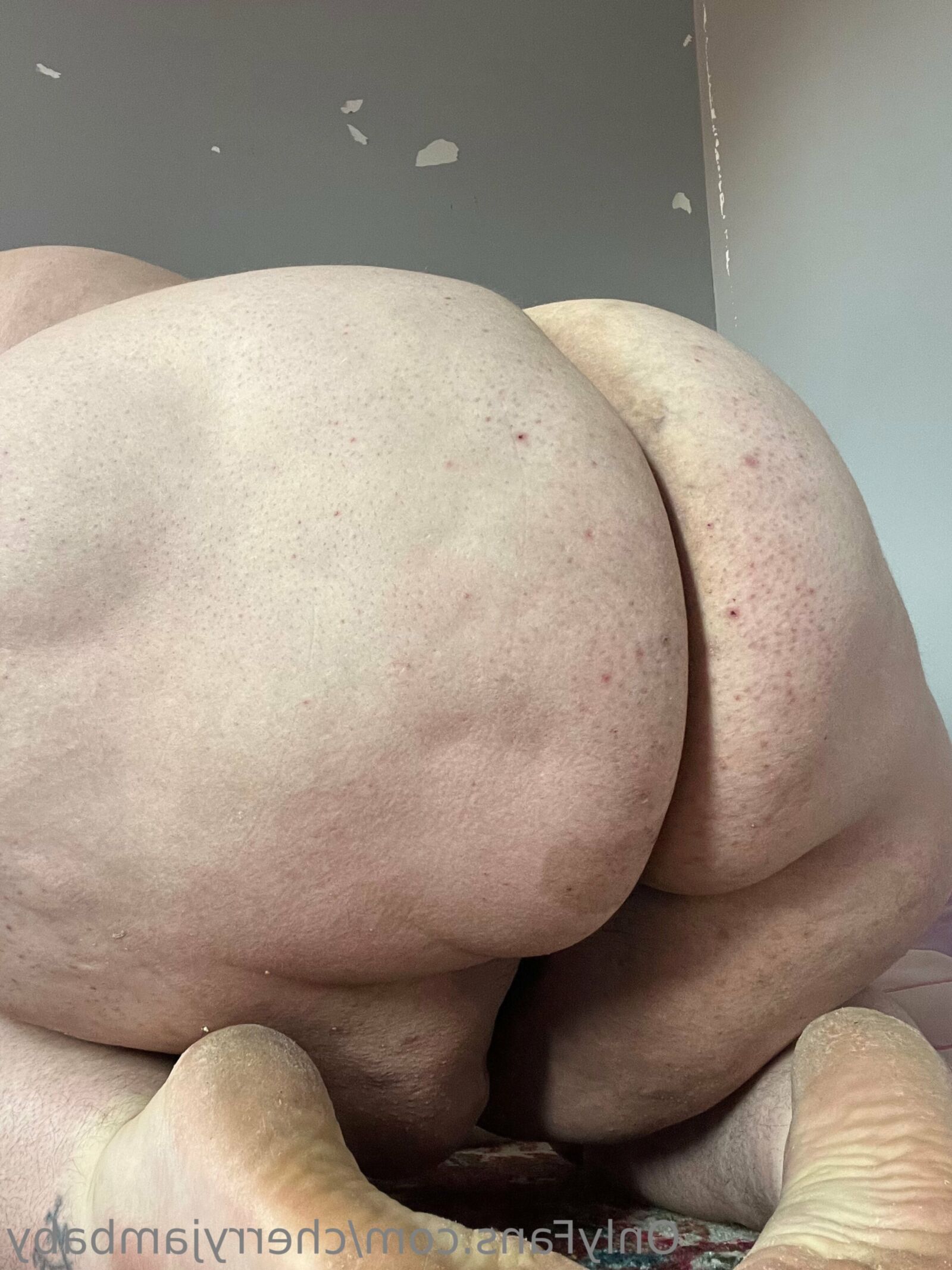 BBW ENORME CULO GORDO SUEÑO