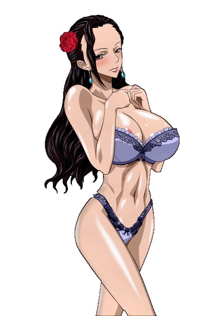 One Piece Sexy Girls Anime