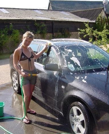 Tigerpuss washing the car 