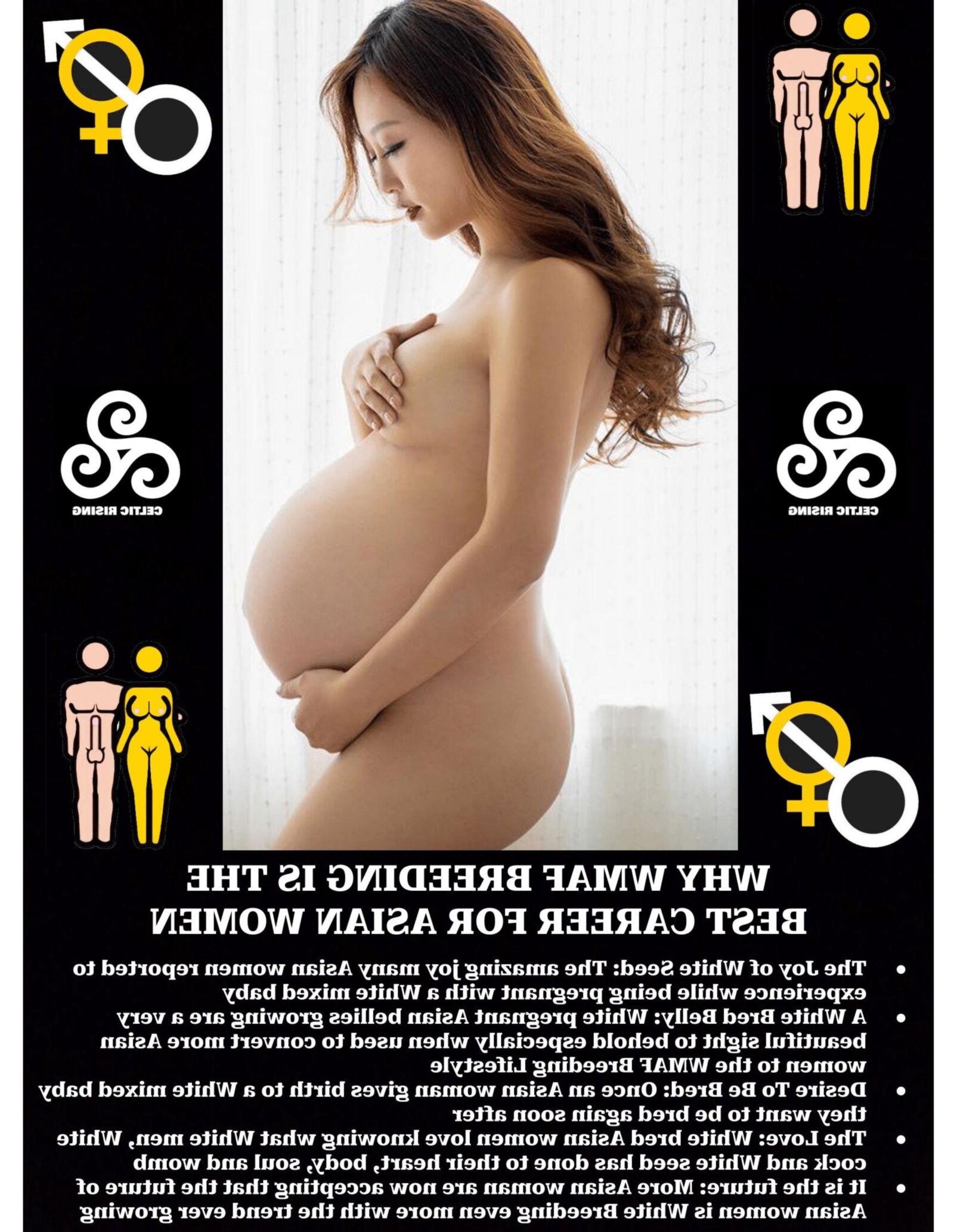 Зимний выпуск WMAF Breeding Lifestyle 2023-2024