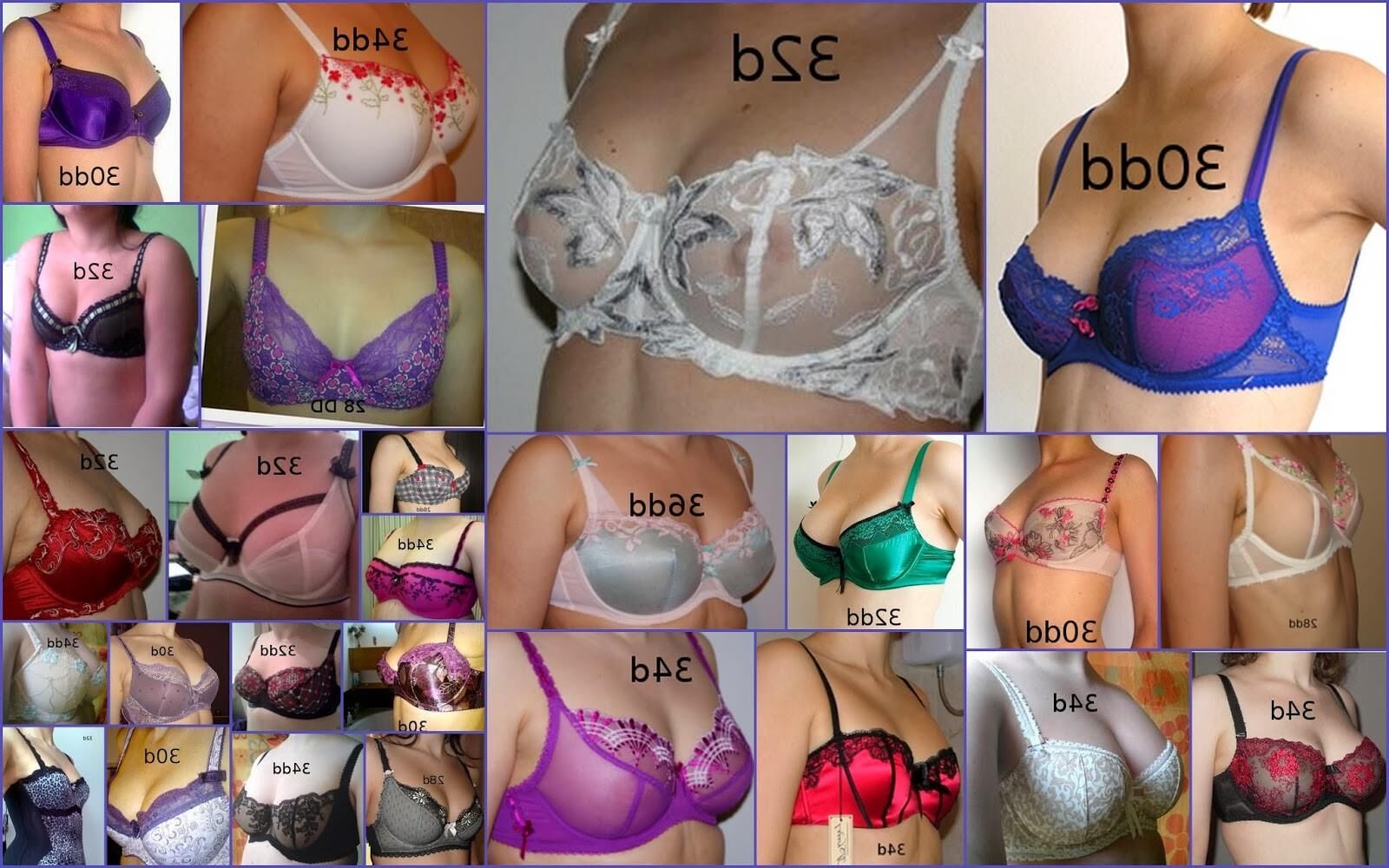 Bras That Fit Huge BabyFeeders That Would Feed A Whole Nursery_1