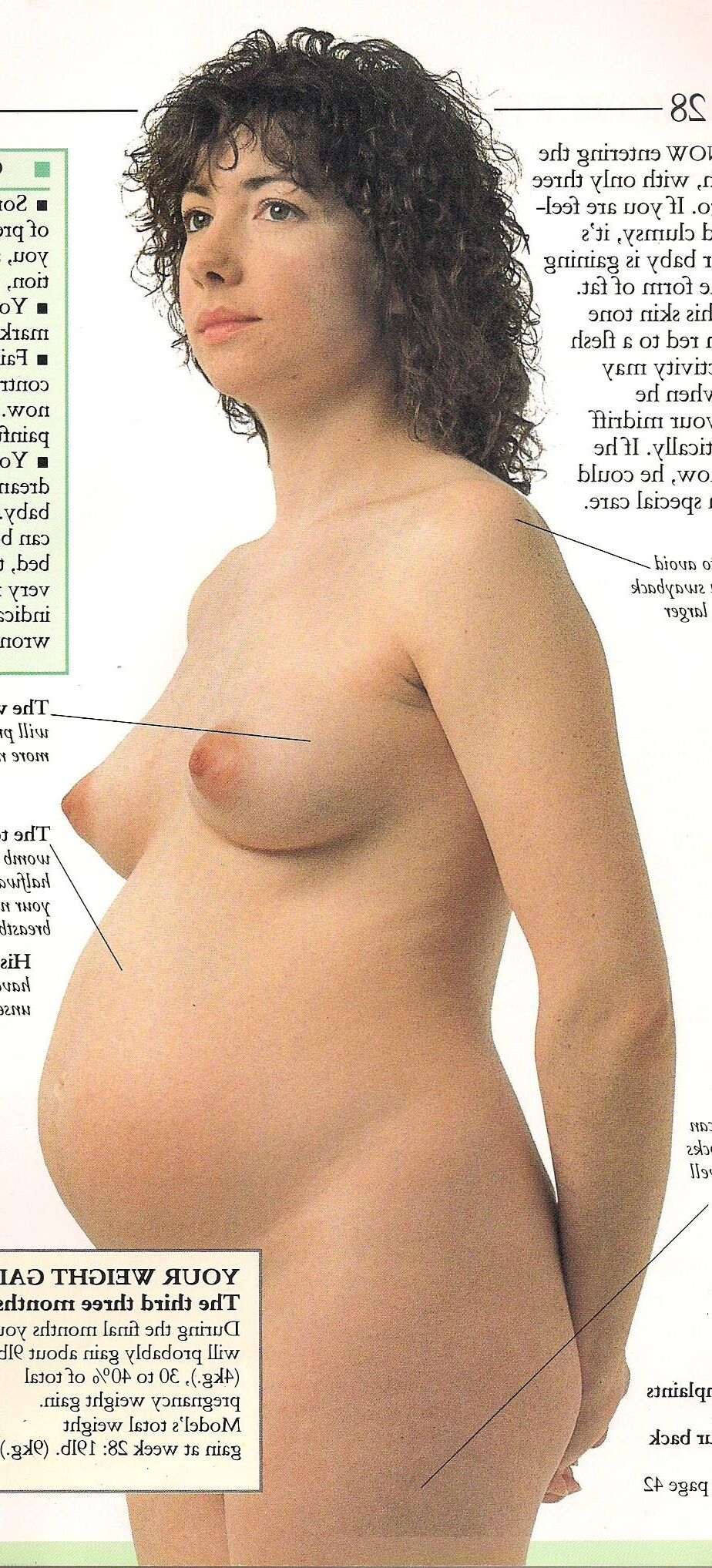 misc pregnancy and birth book pics