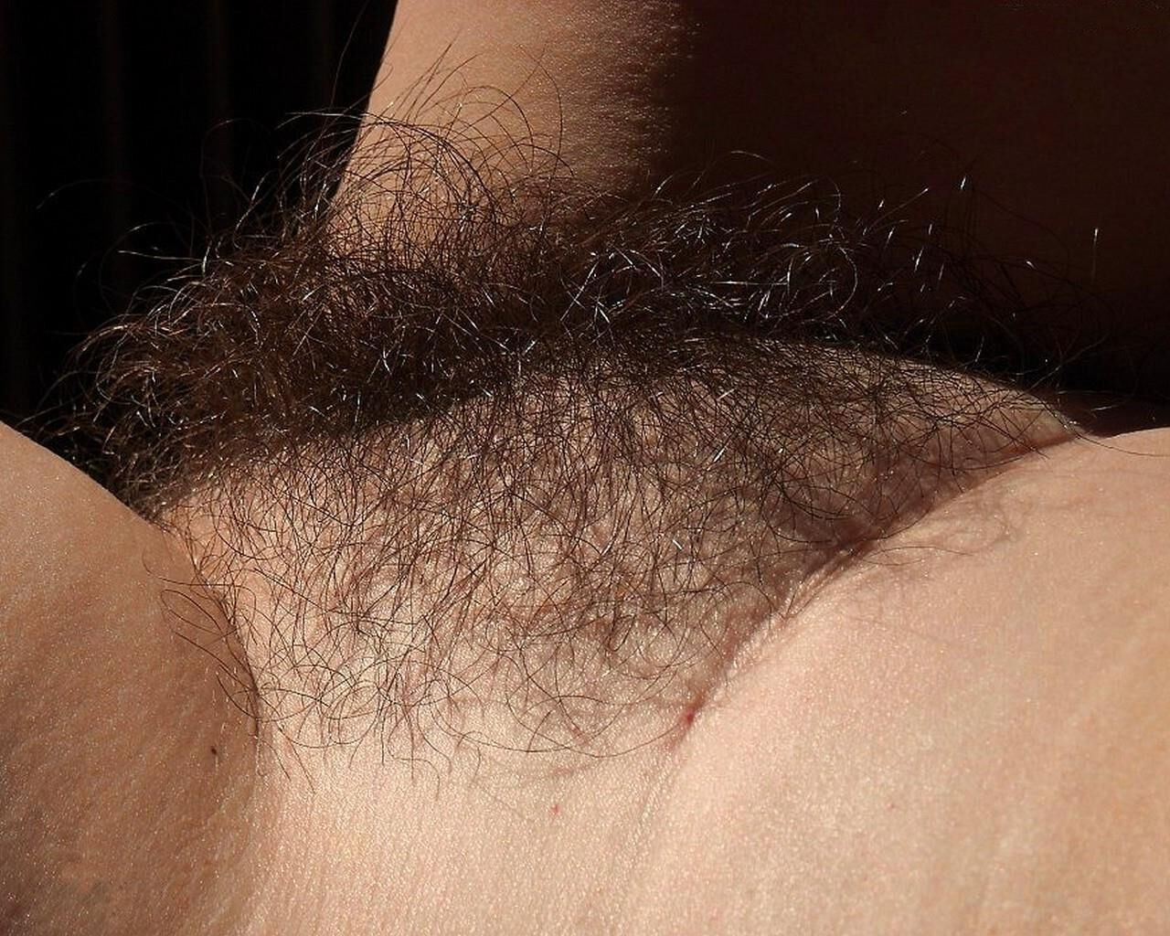 Hairy pussy closeup 03