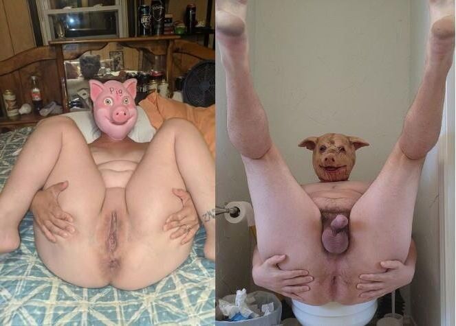 Pig Couple