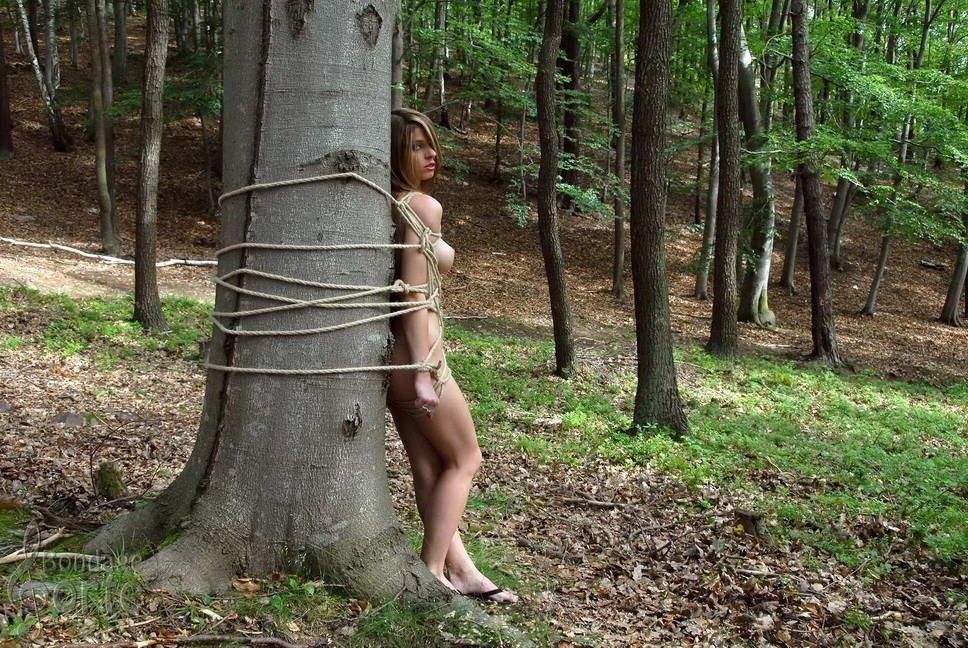 Roped in forest