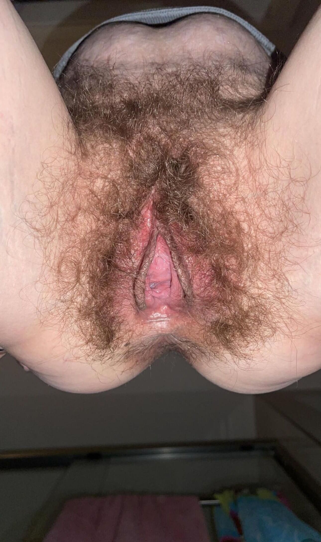 Hairy sluts