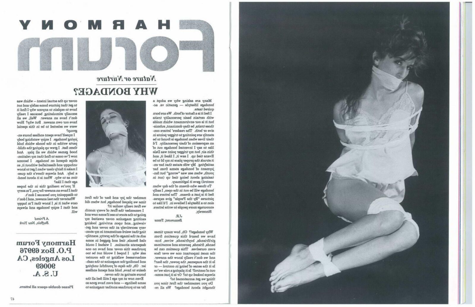 Diario bondage vintage 010