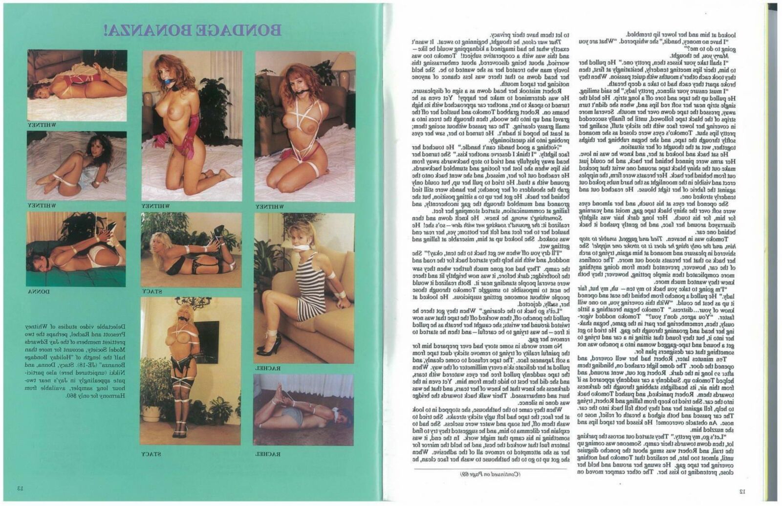 Diario bondage vintage 010