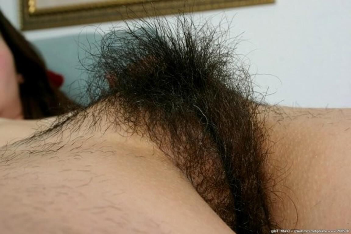 Hairy Pussy 15