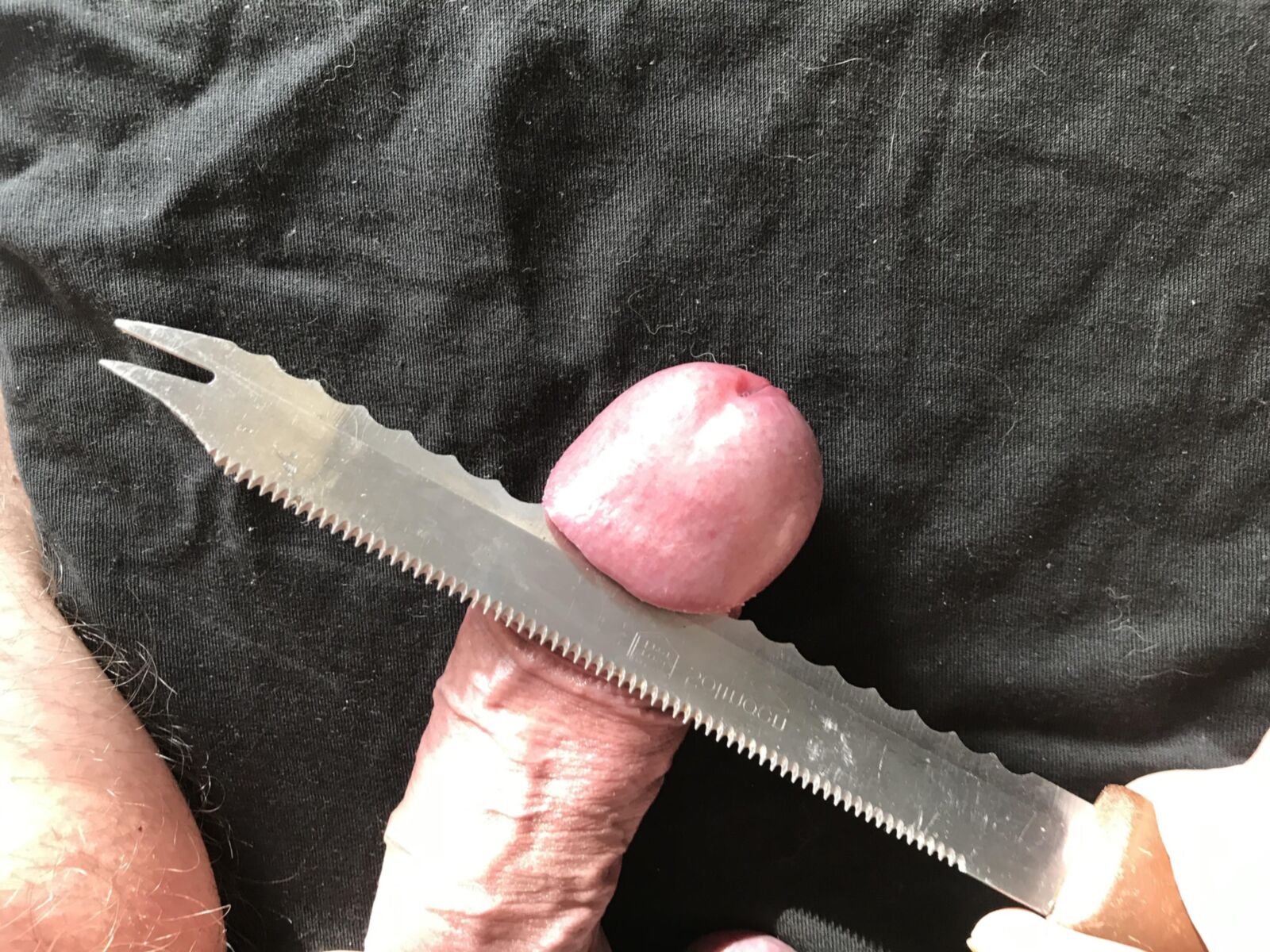 fun with dicks