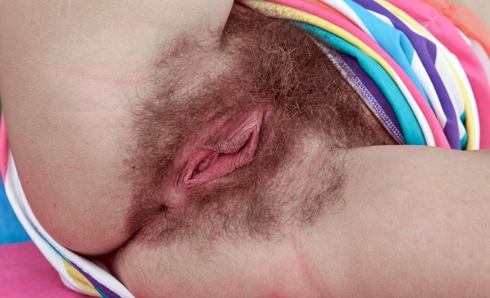 Hairy Cunt 7