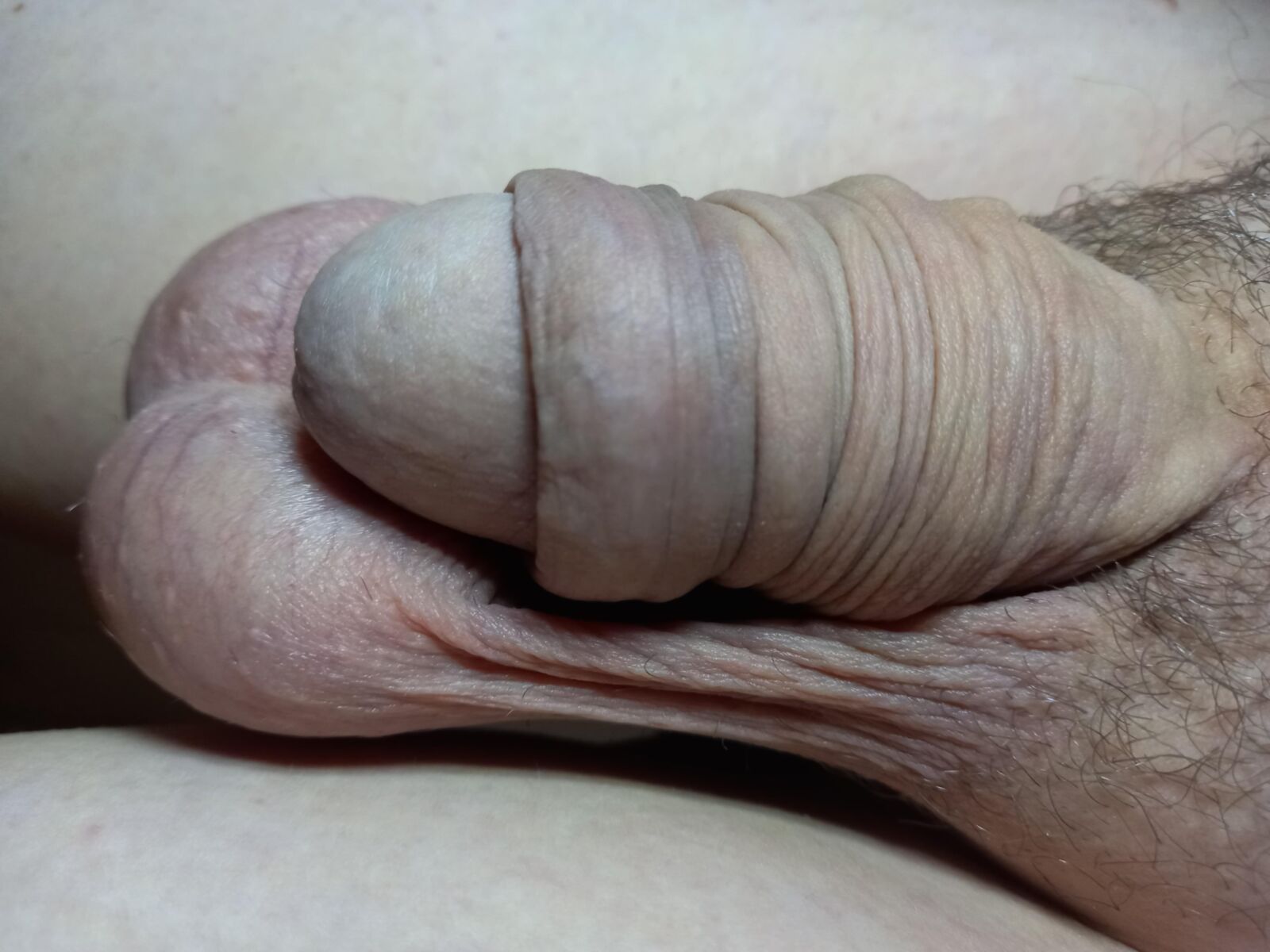 Small penis 2