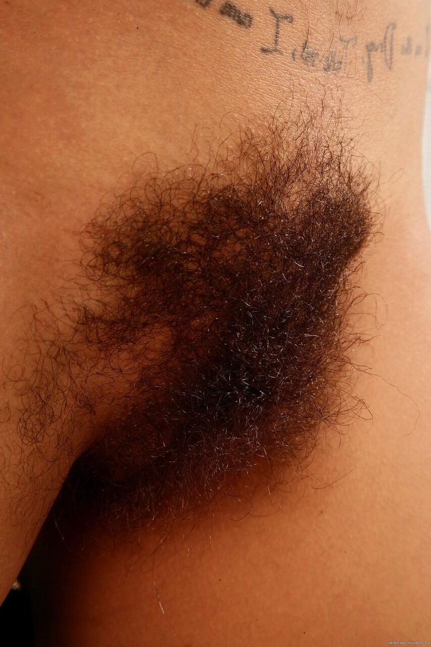 Hairy latina rhys adams