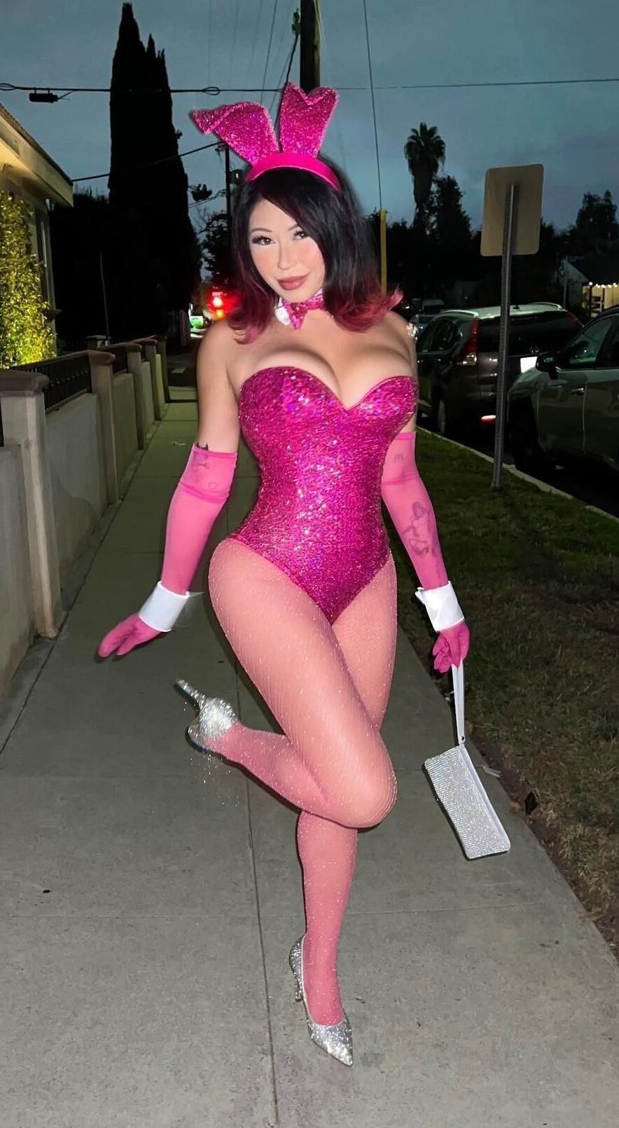 Costume Sluts, Bunnies 1.