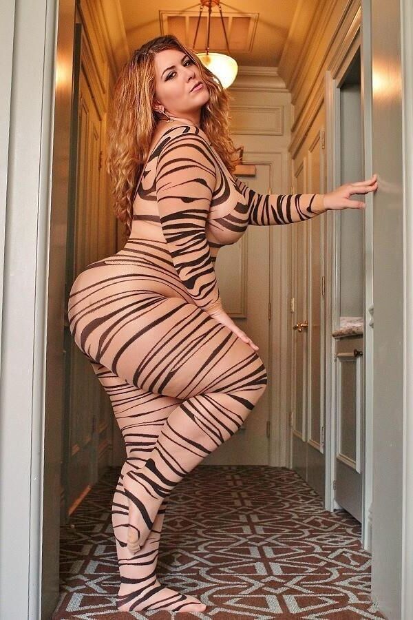 Animal-Print, Bodystocking, Overall 1.