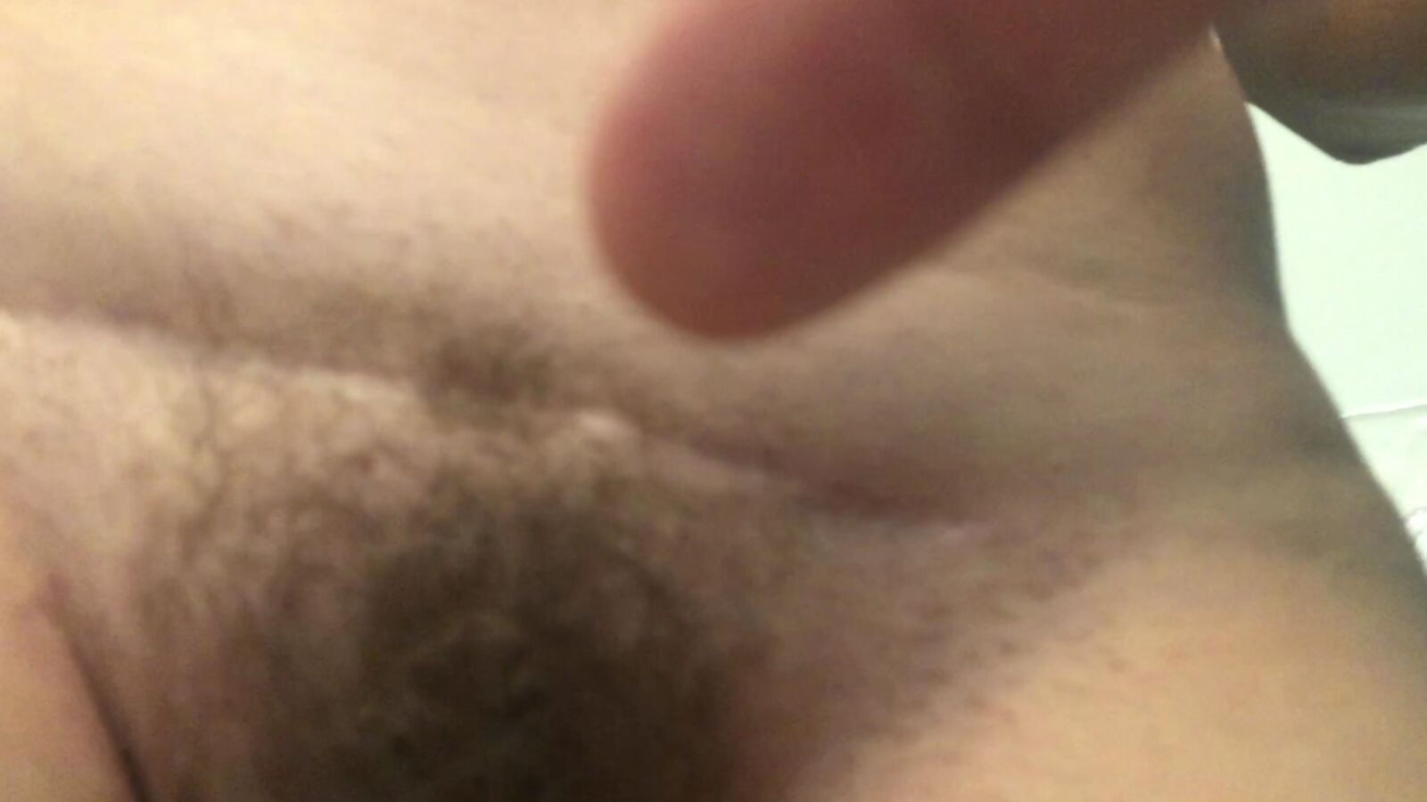 Hairy Pussy Gallery #2