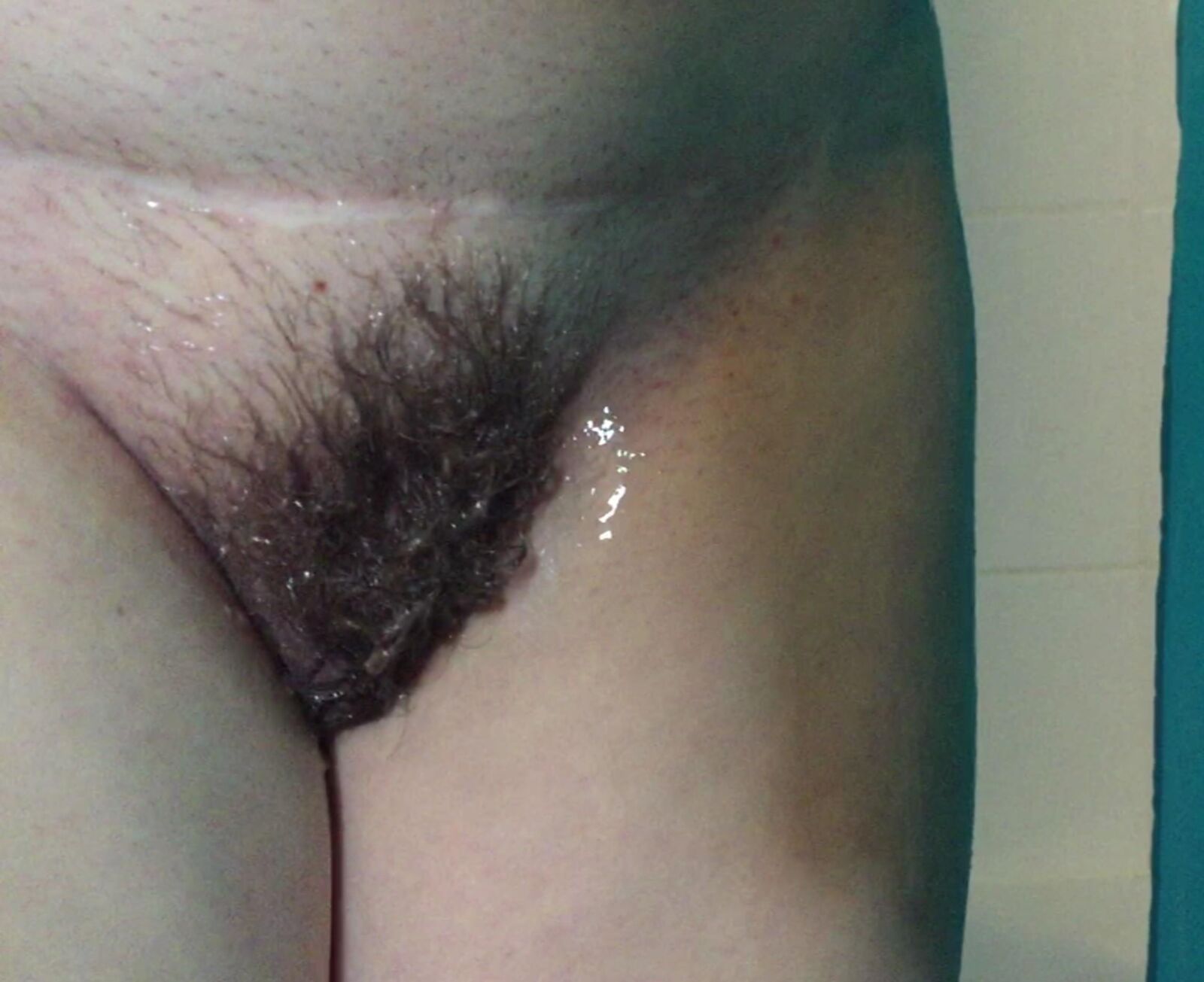 Hairy Pussy Gallery #2