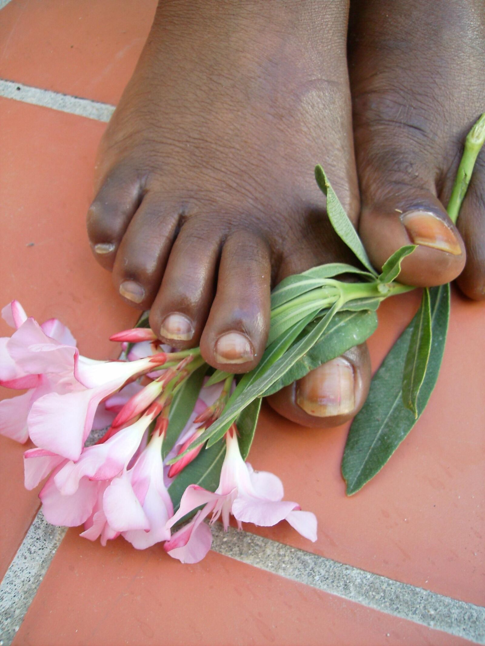 Ebony Toes and Soles