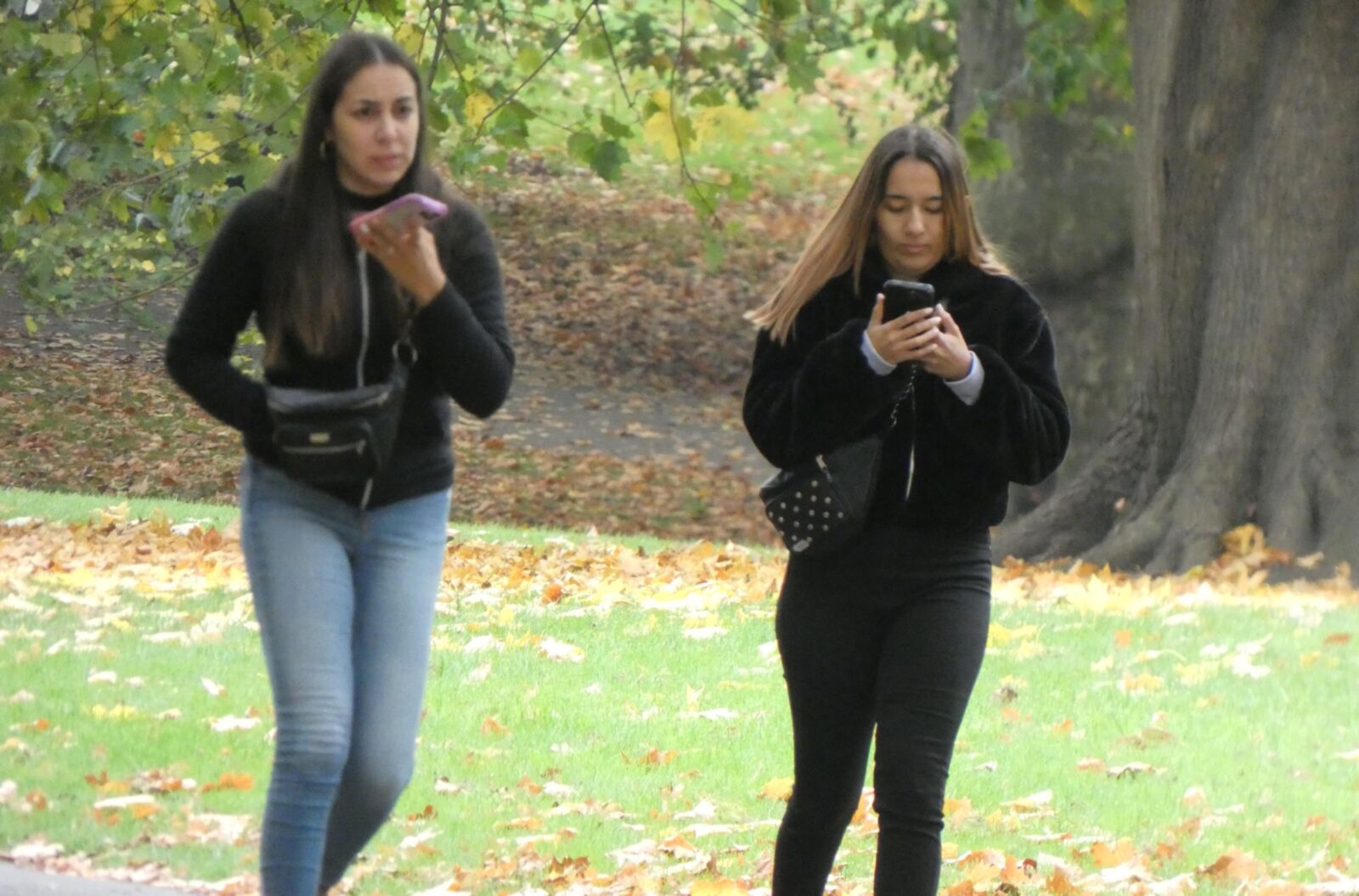 Hermosas chicas en jeans