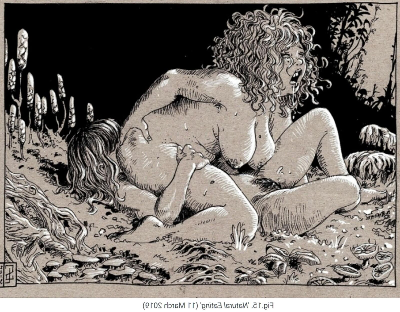 Lesbian hairy art