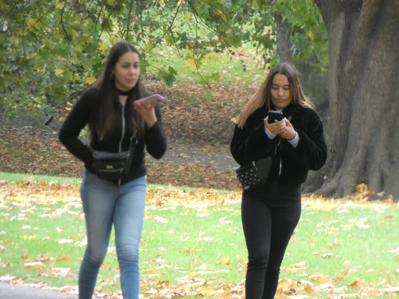 Hermosas chicas en jeans