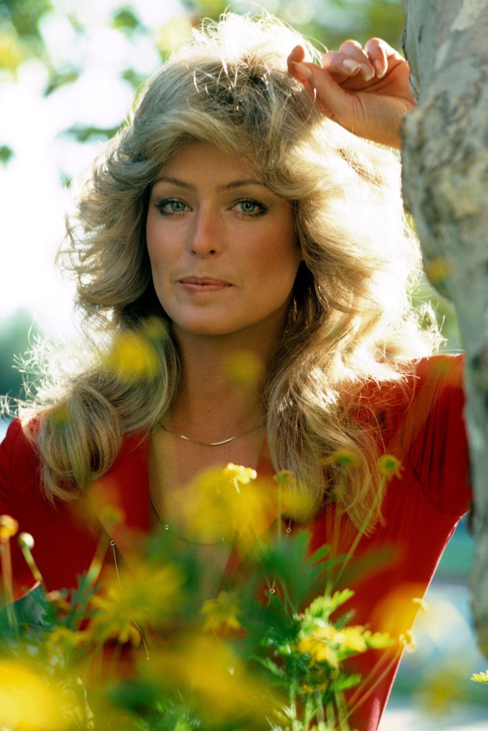 Nails Farrah Fawcett