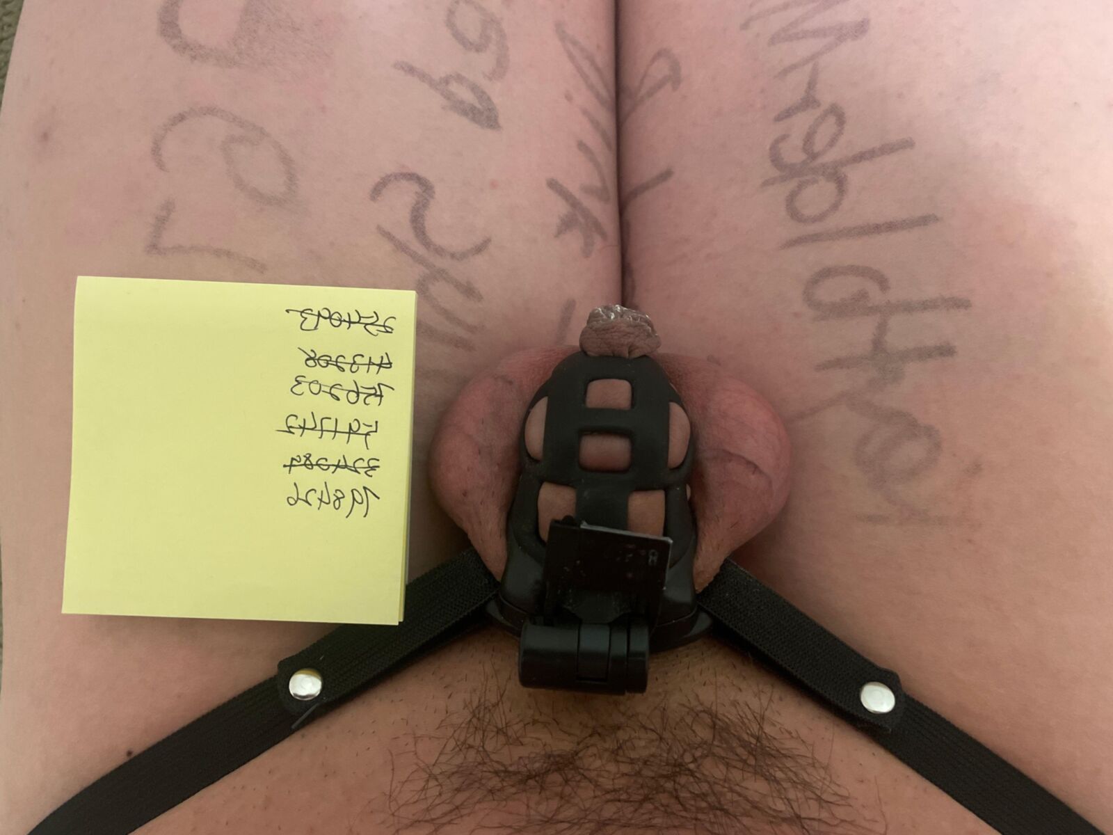 chastity adventure with KeyHolderMilf