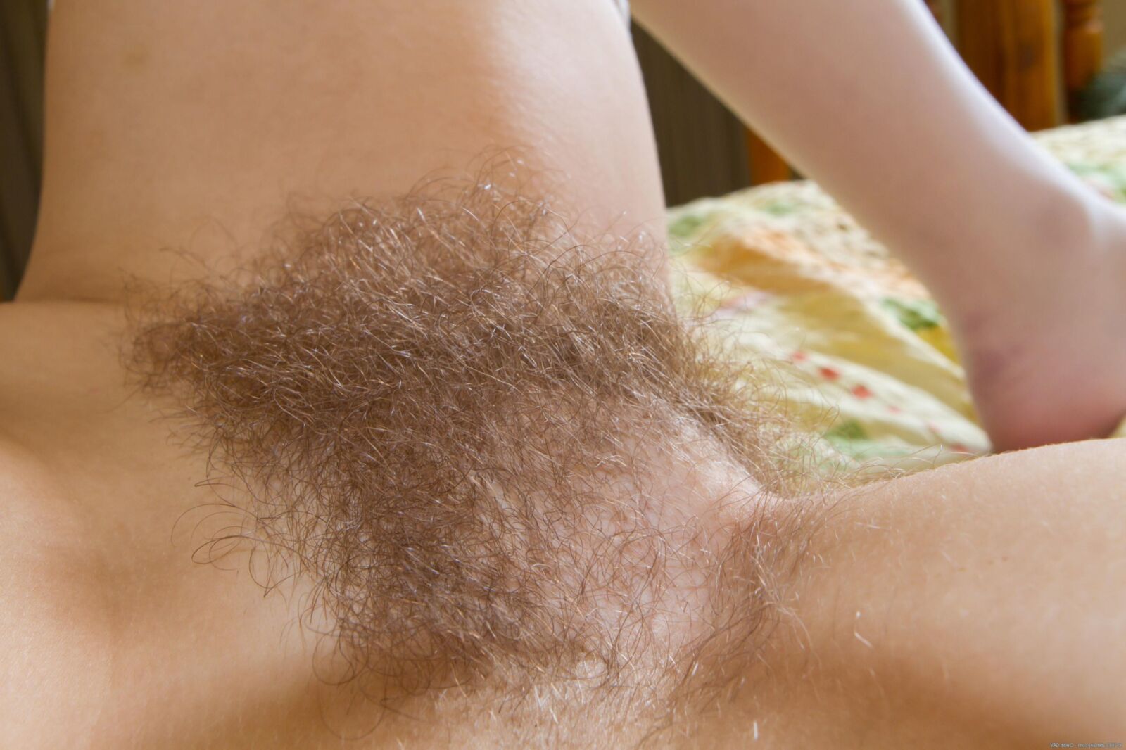 Hairy 