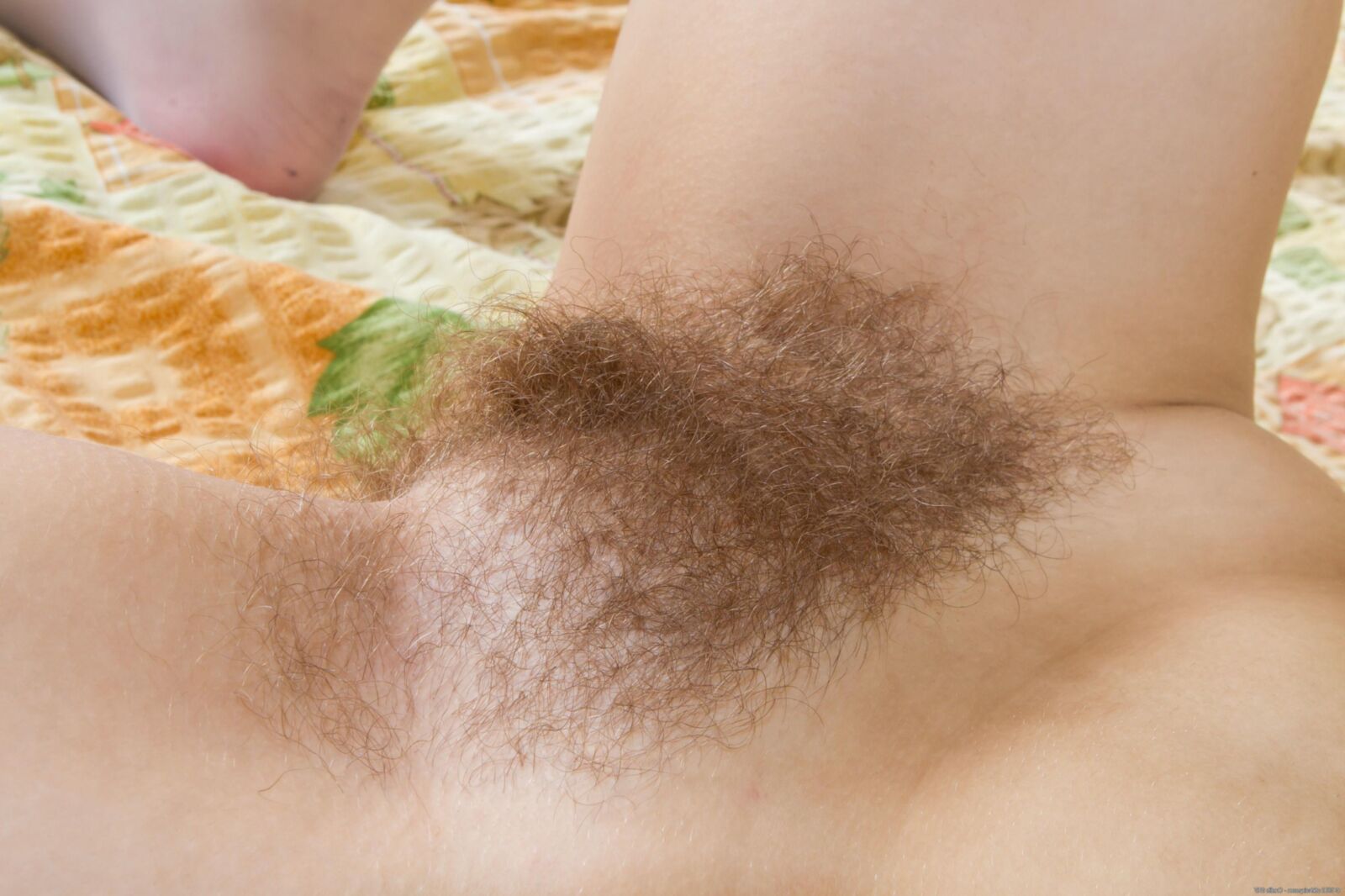 Hairy 