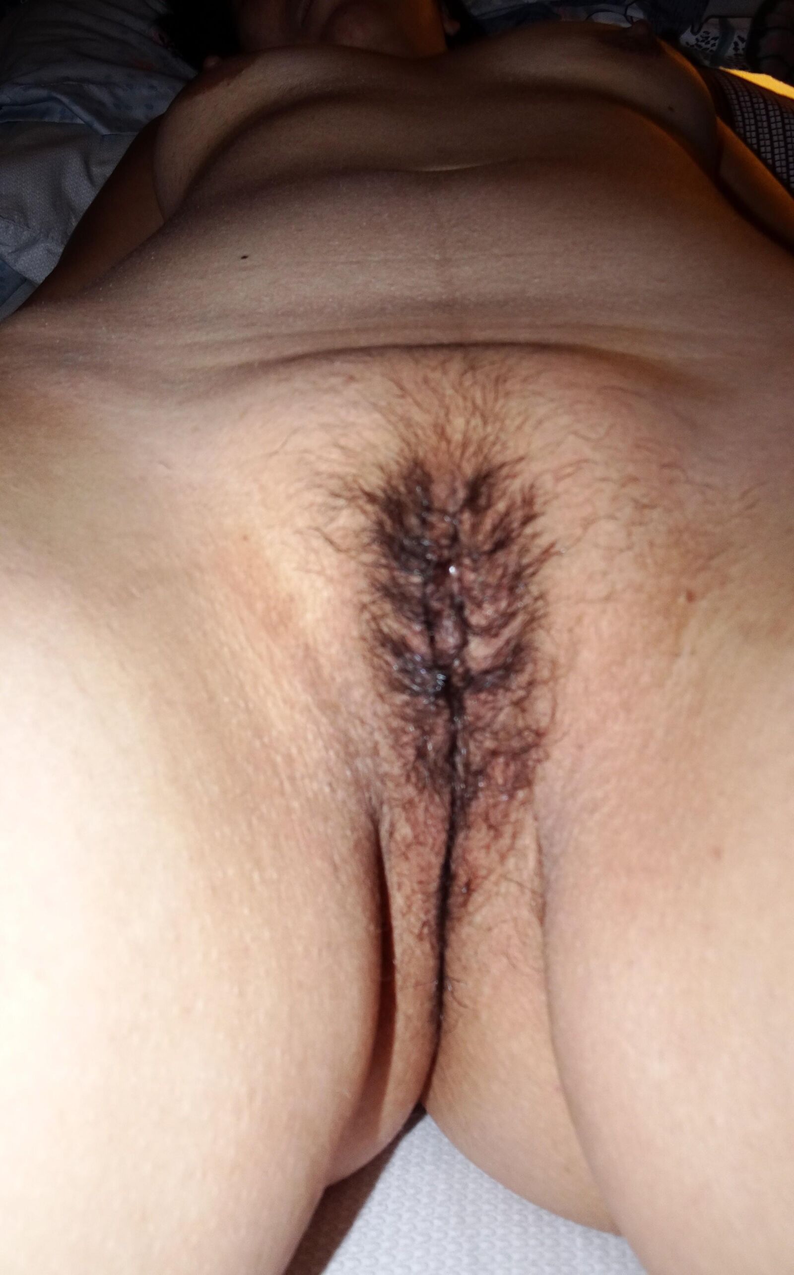 My wife's pussy, how do you prefer her:hairy, trimmed or shaved?