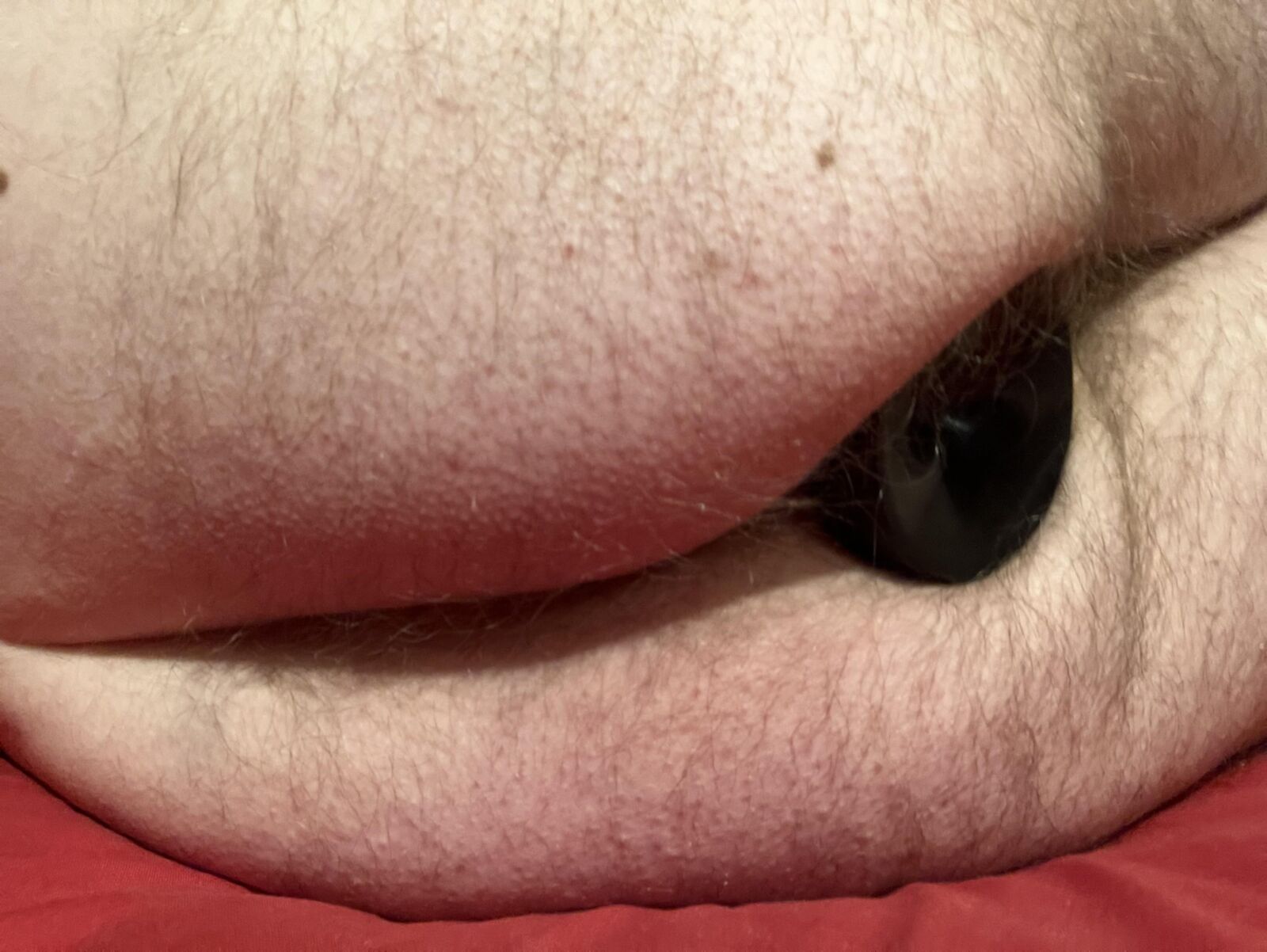 My Plugged Hairy ass hole 