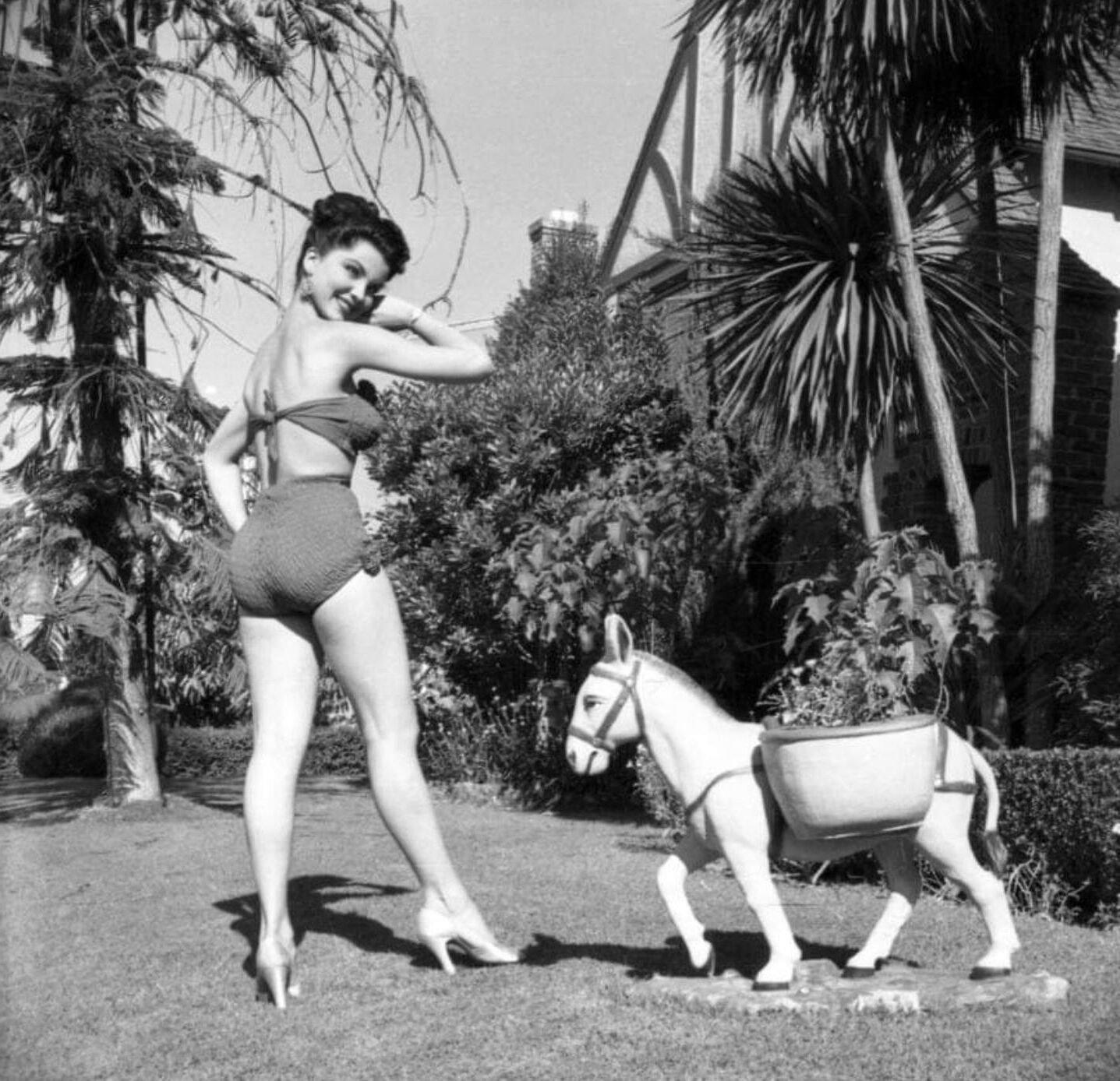 Debra Paget Cul