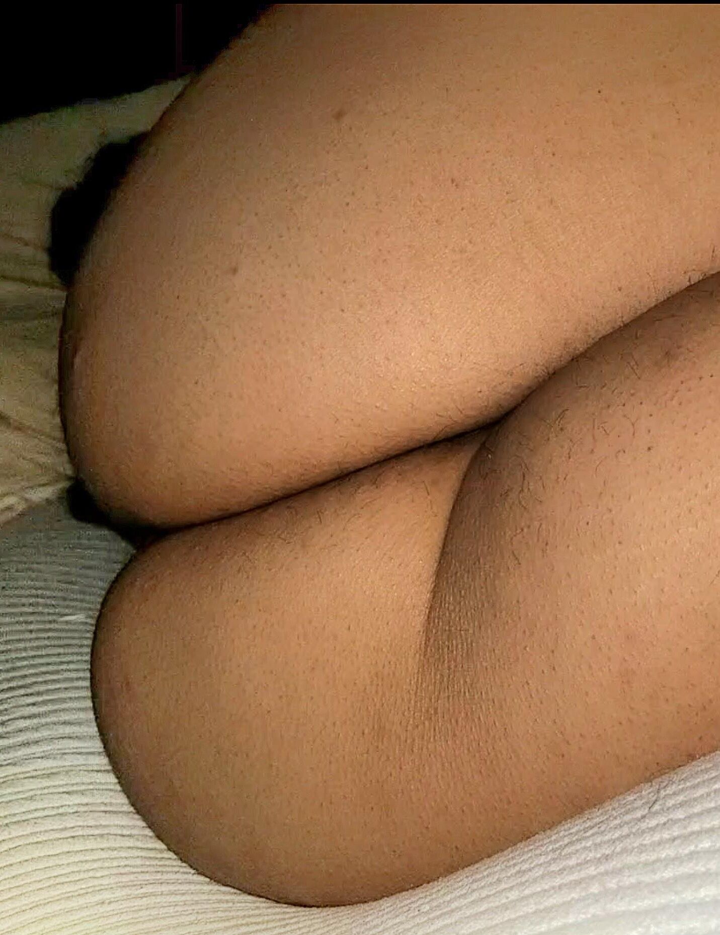 Bunda suculenta