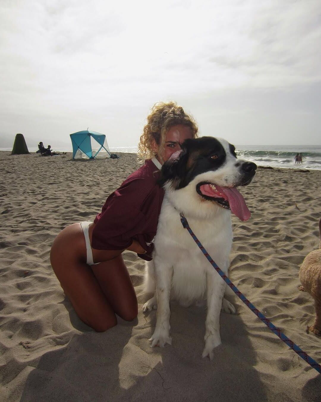 Chicas con sus perros hazaña Claire.