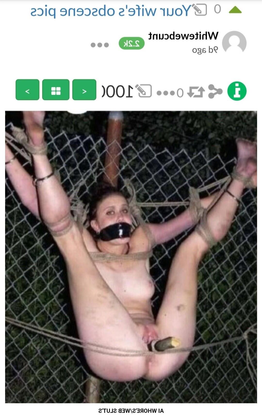 PIG'S IN BONDAGE 