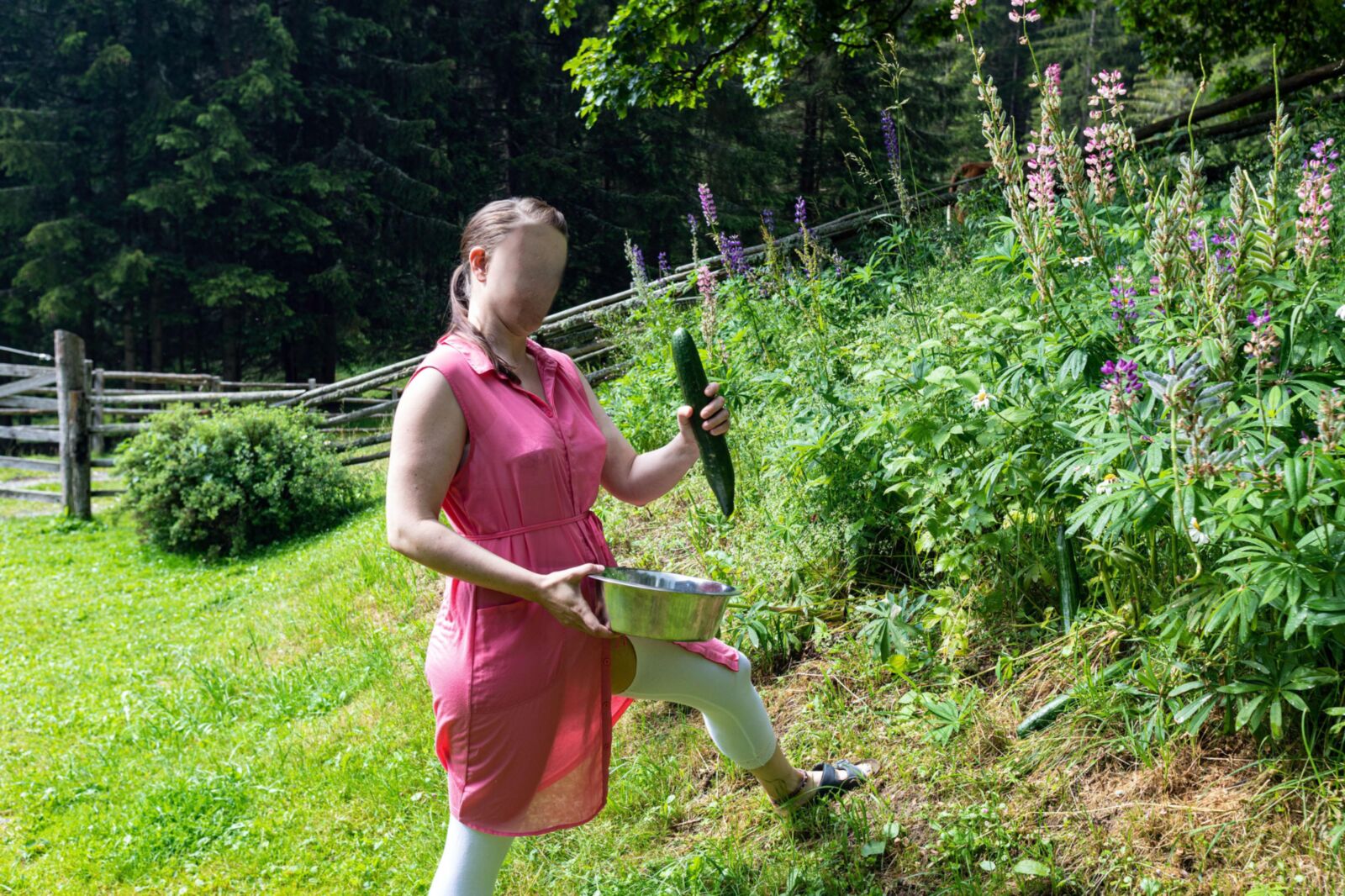 yo a horny farmgirls' cucumber harvest I