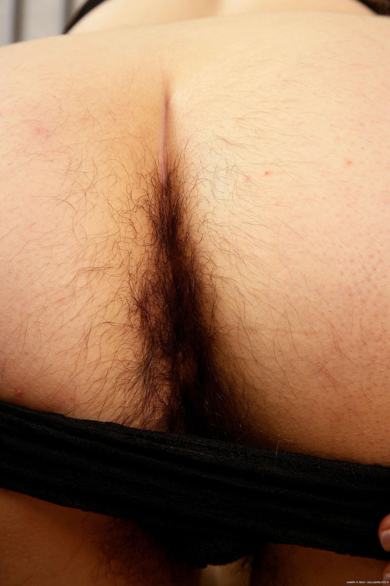 Hairy Faye