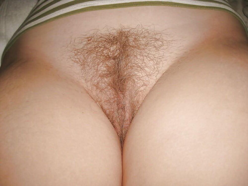 My Wife's Hairy Pussy