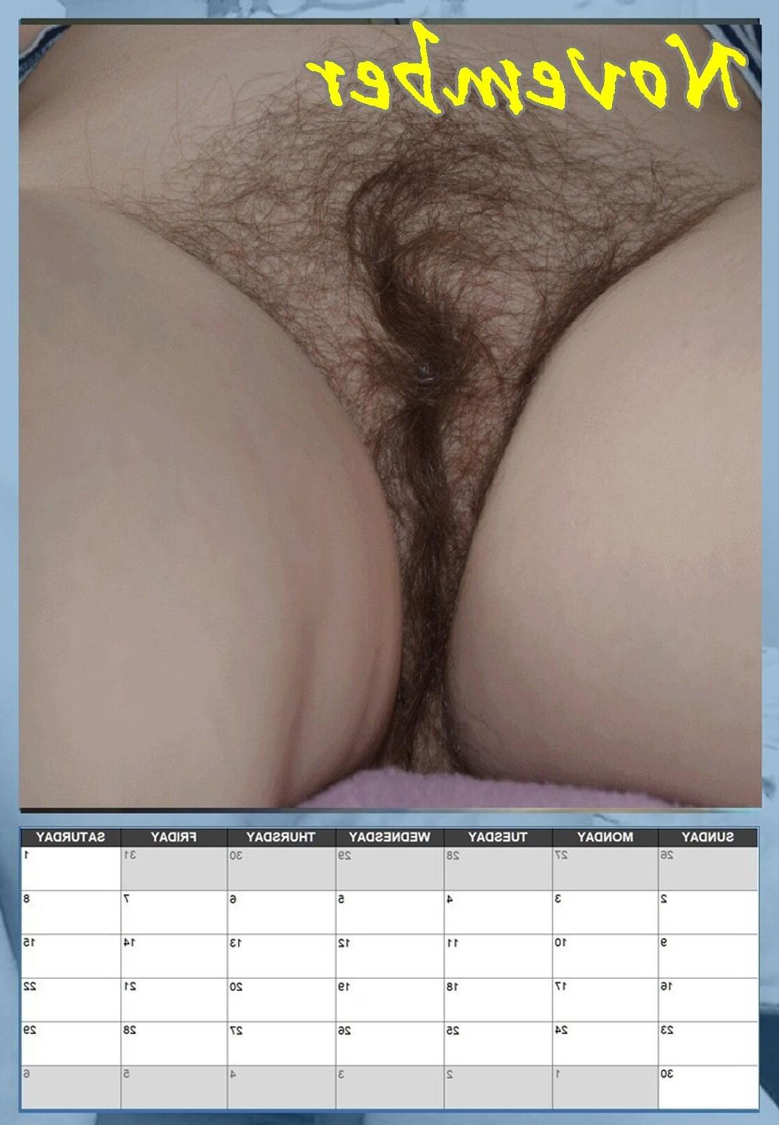 Susannes Heily Pussy -Kalender