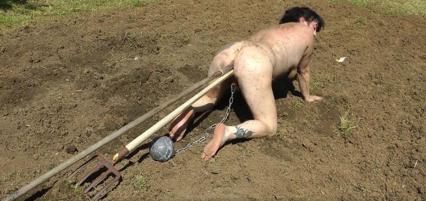 naked slave woman plowing the field 