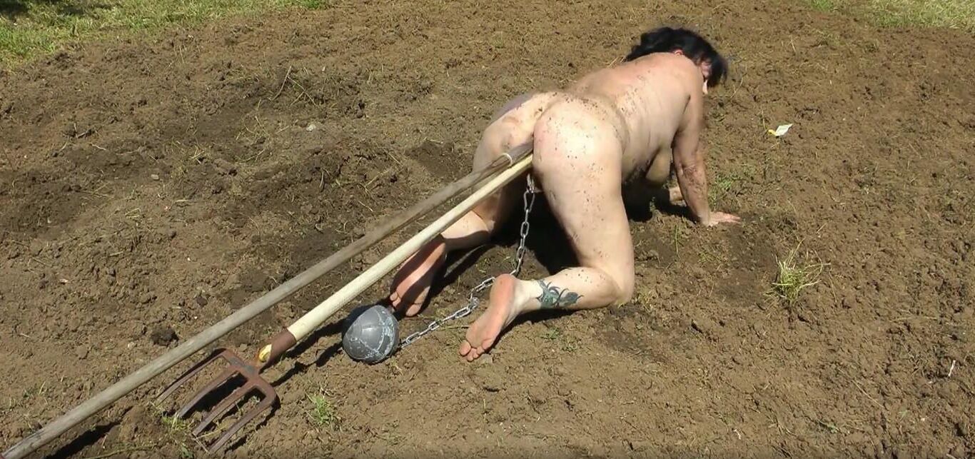 naked slave woman plowing the field 