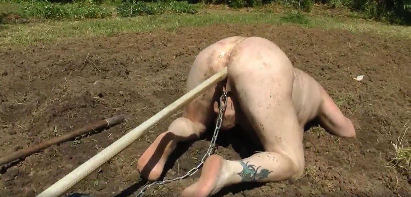 naked slave woman plowing the field 