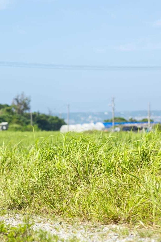 Airi Suzumura Photobook Okinawa Foto Nr. Shining