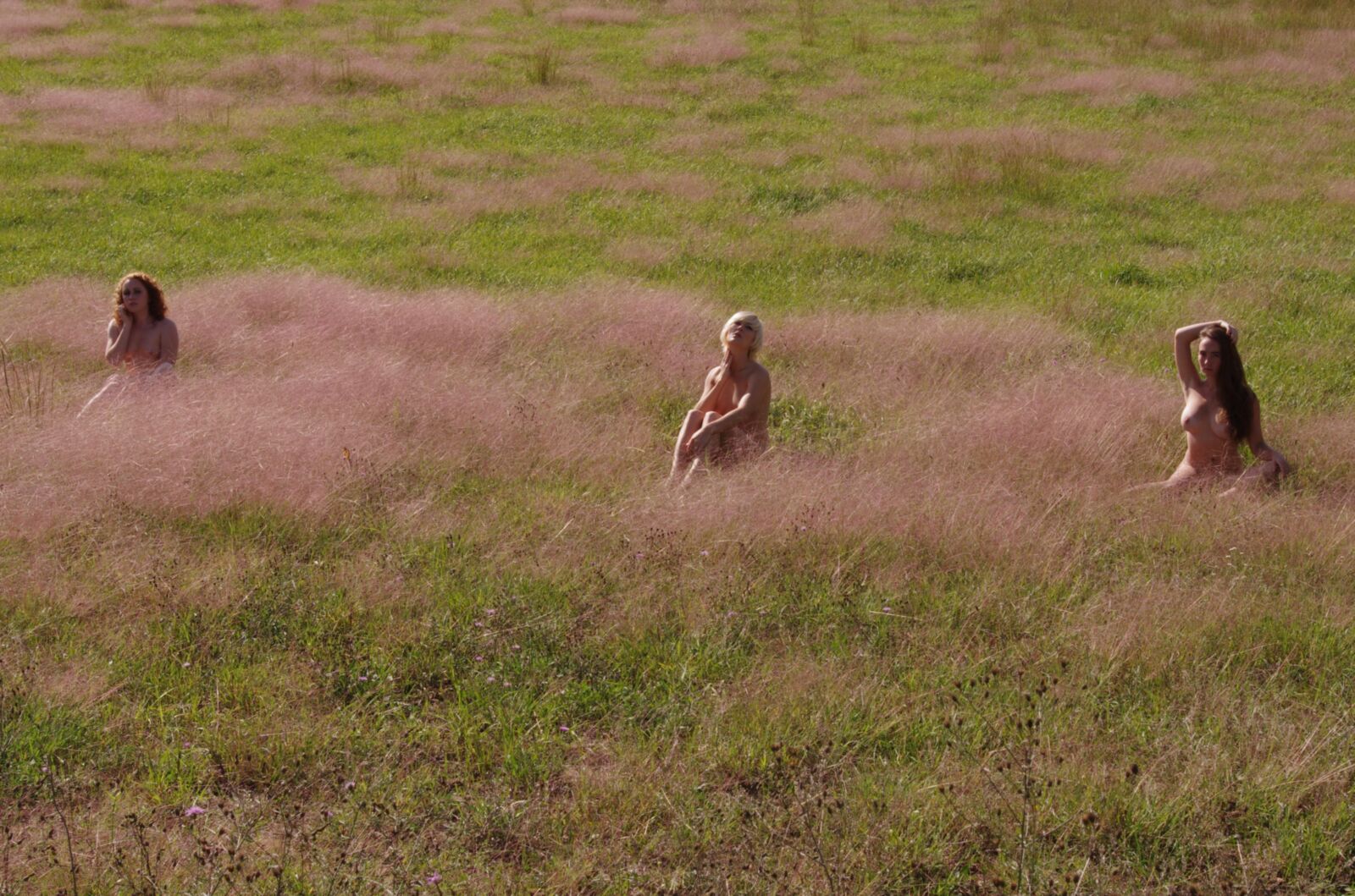 Le déjeuner sur l \ 'herbe