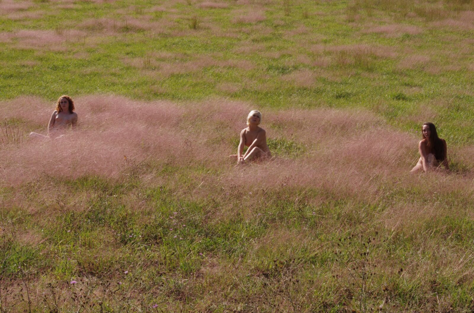 Le déjeuner sur l \ 'herbe