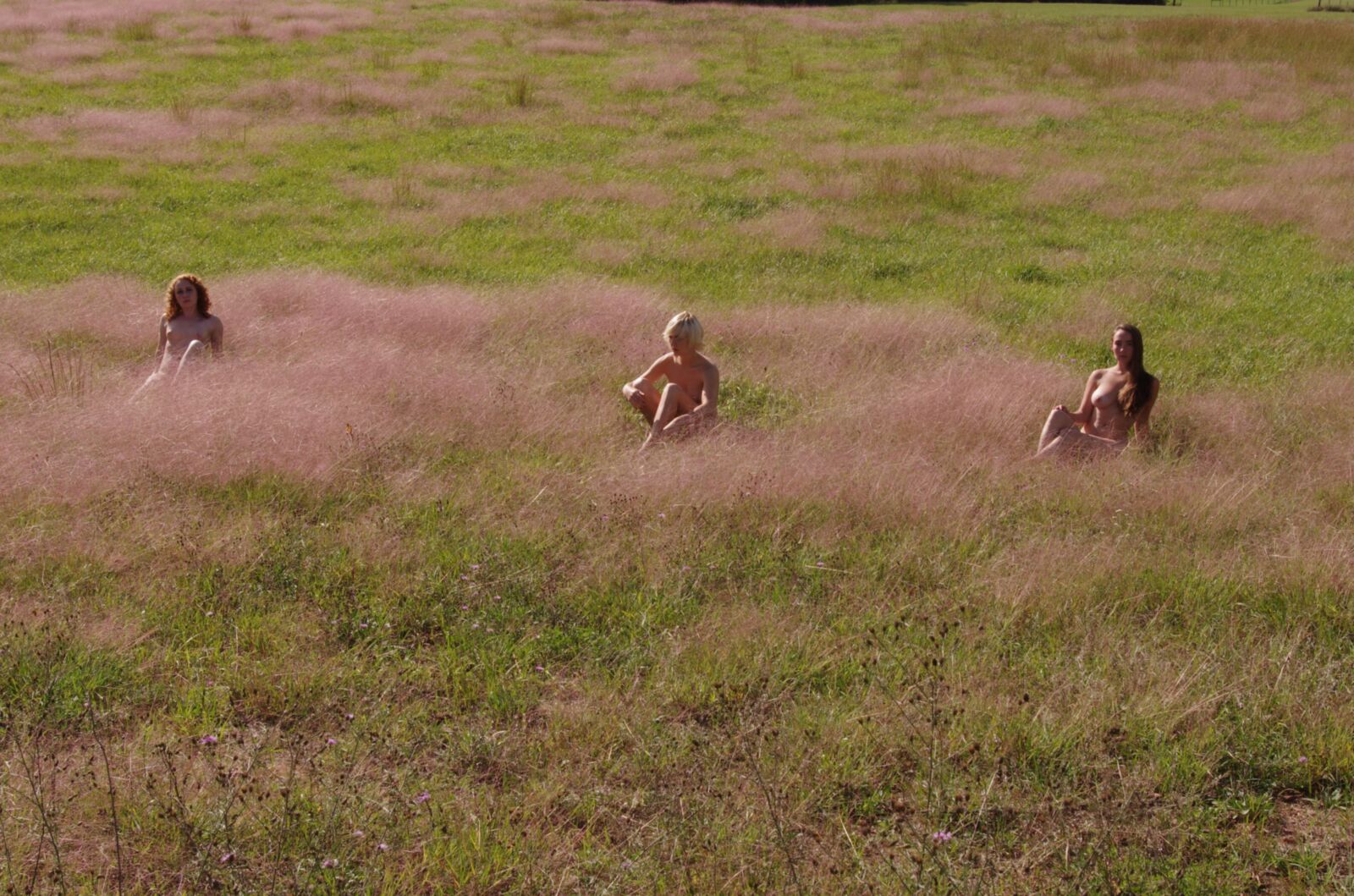 Le déjeuner sur l \ 'herbe